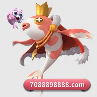 星空投注 APP